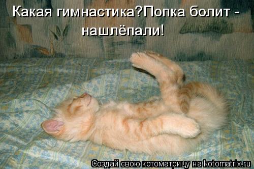 Какая гимнастика?Попка болит - нашлёпали!... Котоматрица: Какая гимнастика?Попка болит - нашлёпали!
