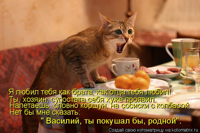 Котоматрица: Я любил тебя как брата, как отца тебя любил! Ты, хозяин, супостата себя хуже проявил. Нет бы мне сказать: " Василий, ты покушал бы, родной". Нале