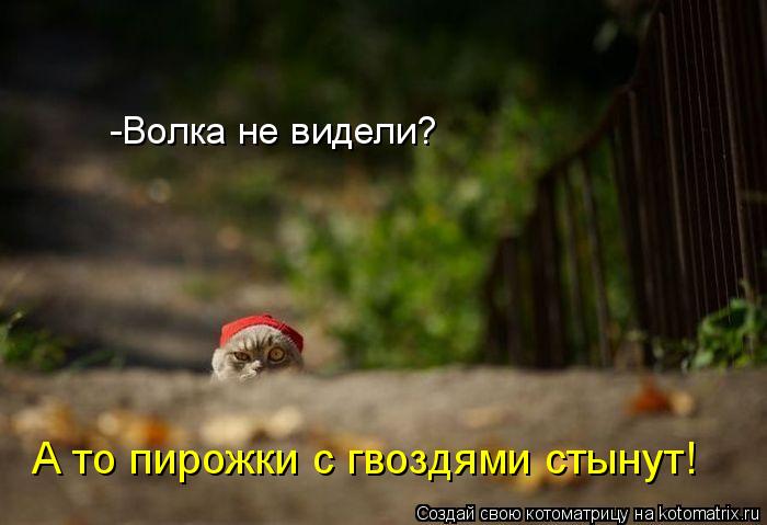 -Волка не видели? А то пирожки с гвоздями стынут!... Котоматрица: -Волка не видели? А то пирожки с гвоздями стынут!