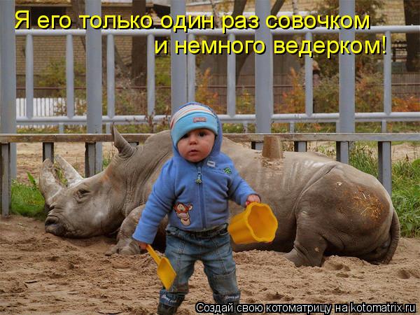 Я его только один раз совочком и немного ведерком!... Котоматрица: Я его только один раз совочком и немного ведерком!