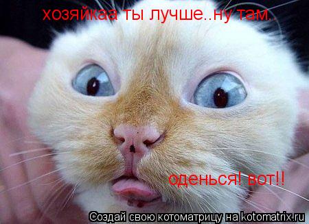 хозяйкаа ты лучше..ну там.. оденься! вот!!... Котоматрица: хозяйкаа ты лучше..ну там.. оденься! вот!!