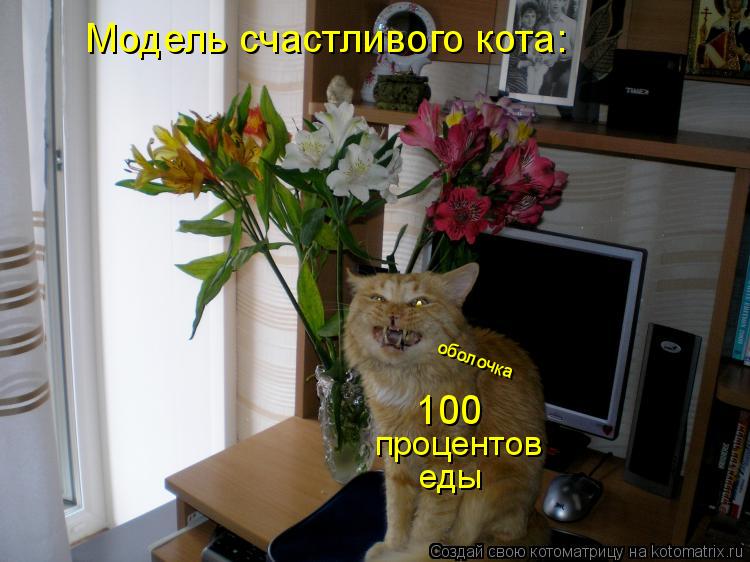Модель счастливого кота: 100 процентов еды оболочка... Котоматрица: Модель счастливого кота: 100 процентов еды оболочка