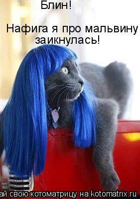 Блин! Нафига я про мальвину заикнулась!... Котоматрица: Блин! Нафига я про мальвину заикнулась!