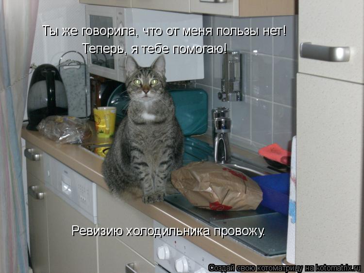 Ты же говорила, что от меня пользы нет! Теперь, я тебе помогаю! Ревизию холодильника провожу.... Котоматрица: Ты же говорила, что от меня пользы нет! Теперь, я тебе помогаю! Ревизию холодильника провожу.