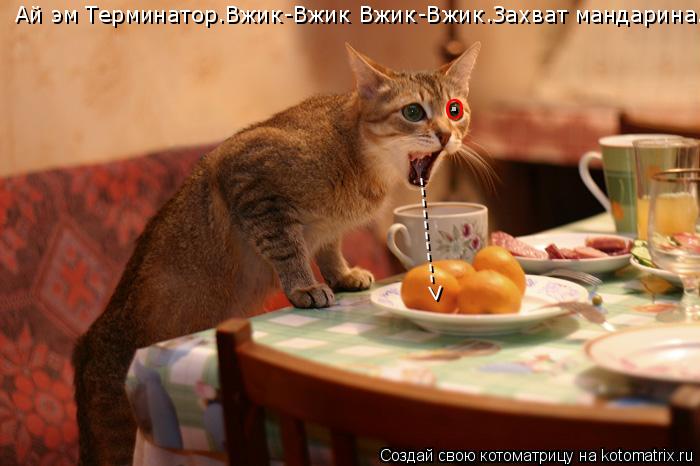О . ---------- > Ай эм Терминатор.Вжик-Вжик Вжик-Вжик.Захват мандарина.... Котоматрица: О . ---------- > Ай эм Терминатор.Вжик-Вжик Вжик-Вжик.Захват мандарина.