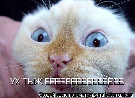 Котоматрица: УХ ТЫЖ ЕЕЕЕЕЕЕЕЕЕЕЕЕЕЕ