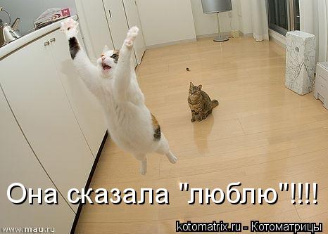 Котоматрица: Она сказала "люблю"!!!!