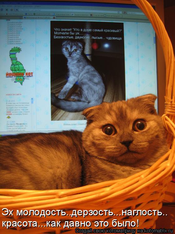 Котоматрица: Эх молодость..дерзость...наглость.. красота...как давно это было!