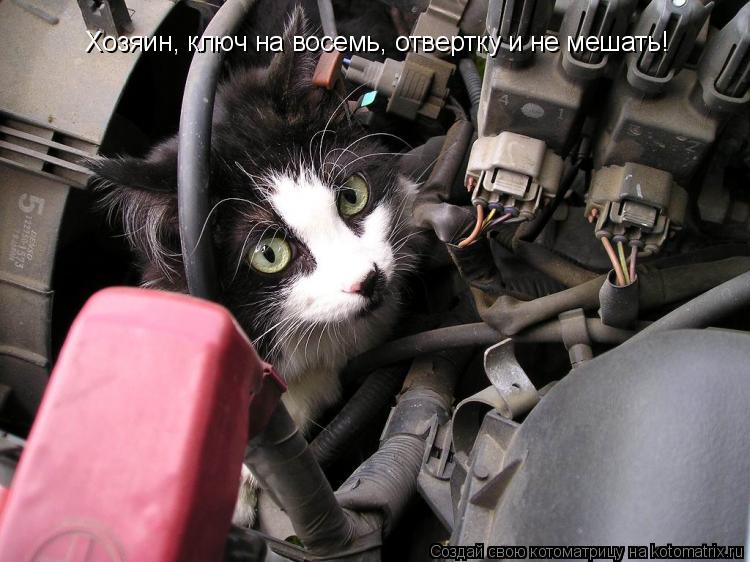 Котоматрица: Хозяин, ключ на восемь, отвертку и не мешать!