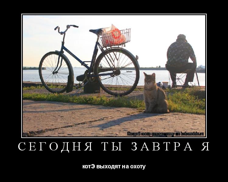 сегодня ты завтра я котЭ выходят на охоту... Котоматрица: сегодня ты завтра я котЭ выходят на охоту