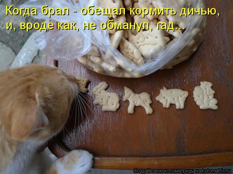 Когда брал - обещал кормить дичью, и, вроде как, не обманул, гад...... Котоматрица: Когда брал - обещал кормить дичью, и, вроде как, не обманул, гад...