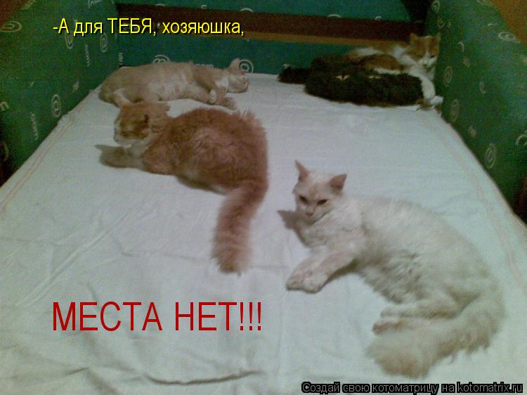 Котоматрица: -А для ТЕБЯ, хозяюшка, МЕСТА НЕТ!!!
