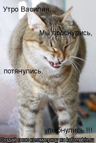 Котоматрица: Утро Василия: Мы проснулись, потянулись, улыбнулись.!!!