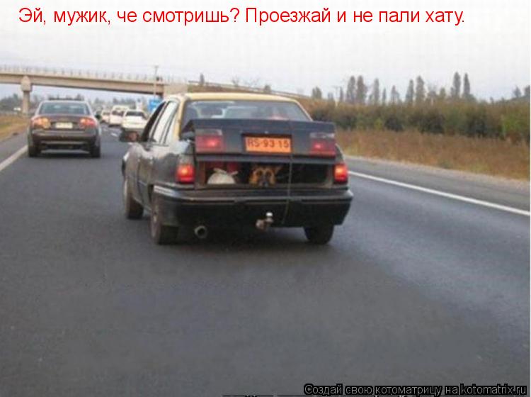 Эй, мужик, че смотришь? Проезжай и не пали хату.... Котоматрица: Эй, мужик, че смотришь? Проезжай и не пали хату.