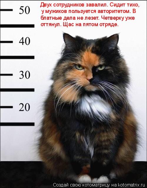 Двух сотрудников завалил. Сидит тихо, у мужиков пользуется авторитетом. В блатные дела не лезет. Чет... Котоматрица: Двух сотрудников завалил. Сидит тихо, у мужиков пользуется авторитетом. В блатные дела не лезет. Четверку уже оттянул. Щас на пятом отряде.