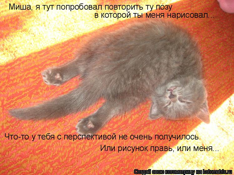 Миша, я тут попробовал повторить ту позу в которой ты меня нарисовал... Что-то у тебя с перспективой ... Котоматрица: Миша, я тут попробовал повторить ту позу в которой ты меня нарисовал... Что-то у тебя с перспективой не очень получилось Или рисунок правь, ил