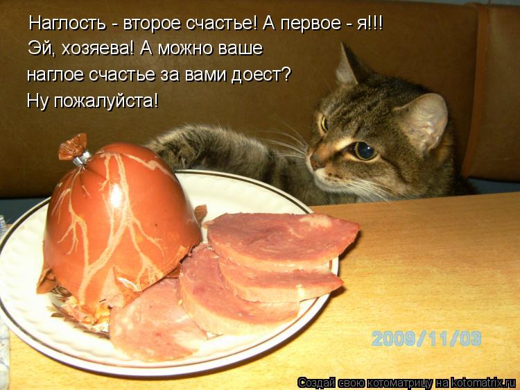 Наглость - второе счастье! А первое - я!!! Эй, хозяева! А можно ваше наглое счастье за вами доест? Ну... Котоматрица: Наглость - второе счастье! А первое - я!!! Эй, хозяева! А можно ваше наглое счастье за вами доест? Ну пожалуйста!