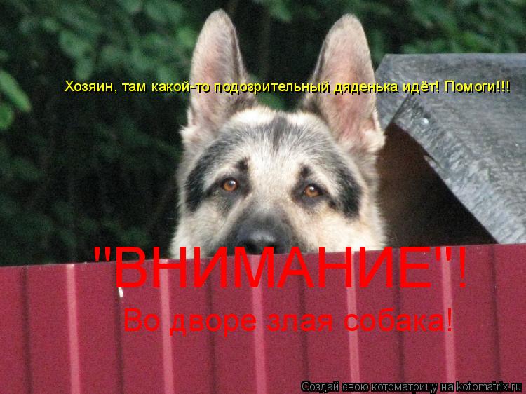 "ВНИМАНИЕ"! Во дворе злая собака! Хозяин, там какой-то подозрительный дяденька идёт! Помоги!!!... Котоматрица: "ВНИМАНИЕ"! Во дворе злая собака! Хозяин, там какой-то подозрительный дяденька идёт! Помоги!!!