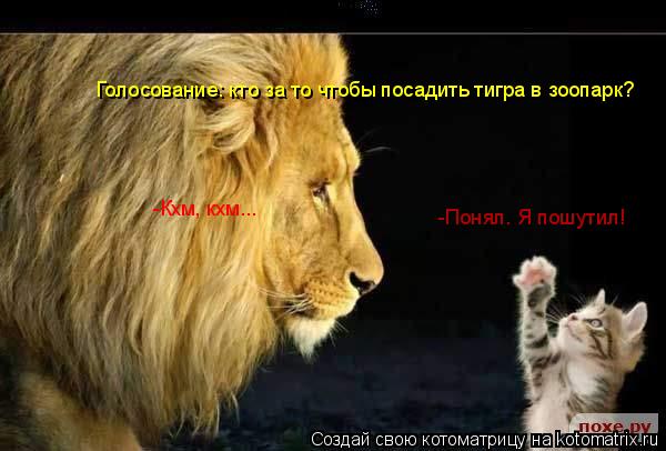 Голосование: кто за то чтобы посадить тигра в зоопарк? -Кхм, кхм... -Понял. Я пошутил!... Котоматрица: Голосование: кто за то чтобы посадить тигра в зоопарк? -Кхм, кхм... -Понял. Я пошутил!