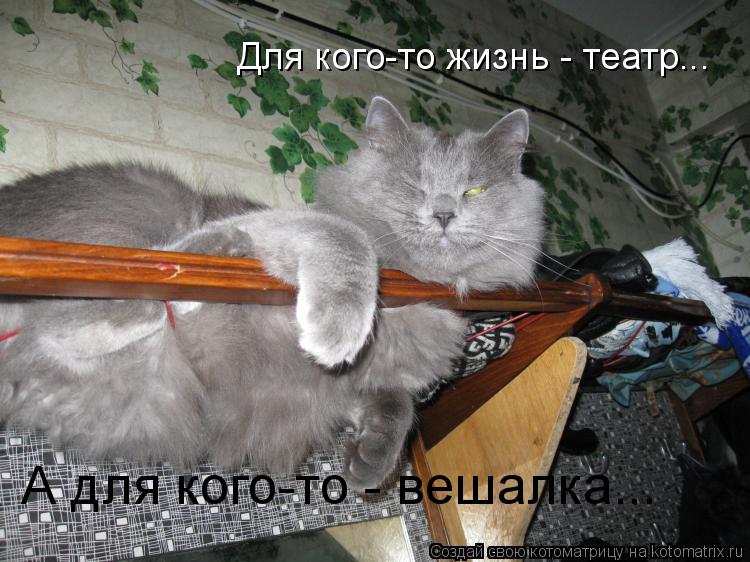 Котоматрица: Для кого-то жизнь - театр... А для кого-то - вешалка...