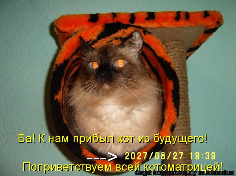 Котоматрица: Ба! К нам прибыл кот из будущего! ---> Поприветствуем всей котоматрицей!