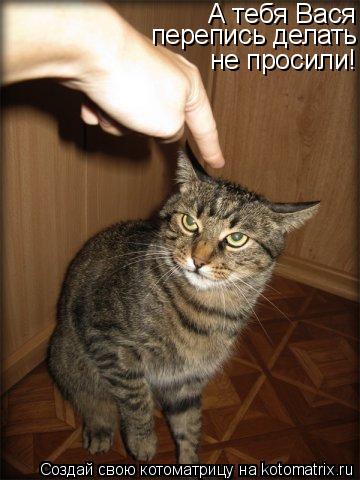 Котоматрица: А тебя Вася перепись делать не просили!