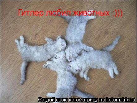 Котоматрица: Гитлер любил животных :)))
