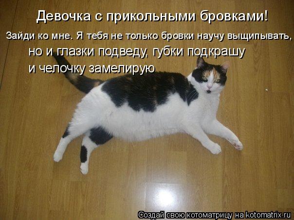 Котоматрица: Девочка с прикольными бровками! Зайди ко мне. Я тебя не только бровки научу выщипывать, но и глазки подведу, губки подкрашу и челочку замели