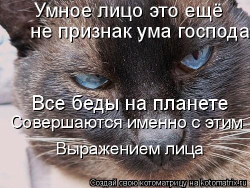 Котоматрица: Умное лицо это ещё  не признак ума господа Все беды на планете Совершаются именно с этим Выражением лица