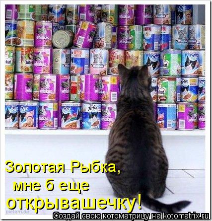 Золотая Рыбка, мне б еще открывашечку!... Котоматрица: Золотая Рыбка, мне б еще открывашечку!