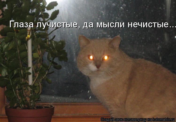 Котоматрица: Глаза лучистые, да мысли нечистые...