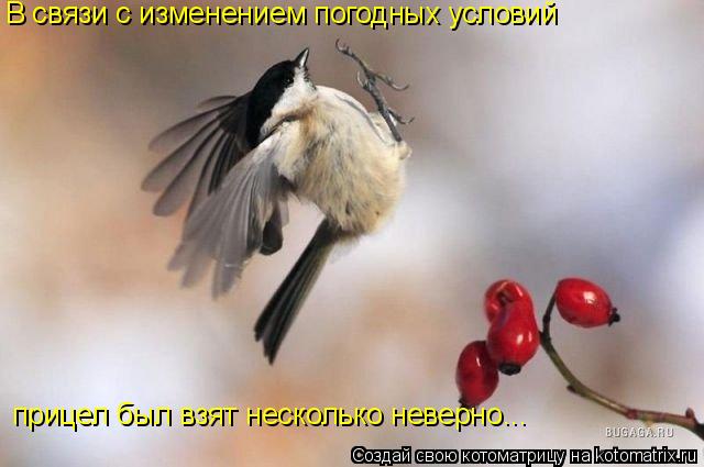 В связи с изменением погодных условий прицел был взят несколько неверно...... Котоматрица: В связи с изменением погодных условий прицел был взят несколько неверно...