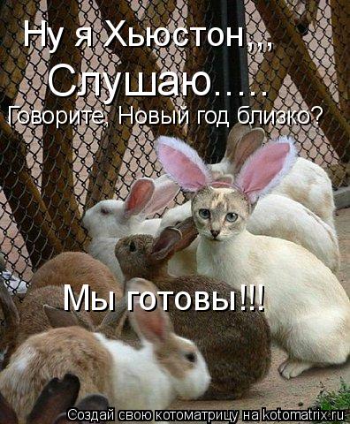 Говорите, Новый год близко? Слушаю..... Ну я Хьюстон,,, Мы готовы!!!... Котоматрица: Говорите, Новый год близко? Слушаю..... Ну я Хьюстон,,, Мы готовы!!!