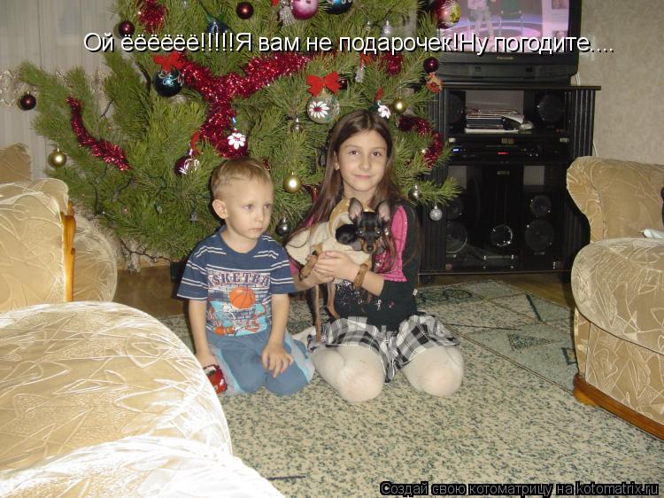 Ой ёёёёёё!!!!!Я вам не подарочек!Ну погодите....... Котоматрица: Ой ёёёёёё!!!!!Я вам не подарочек!Ну погодите....