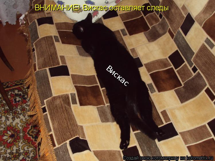 Котоматрица: Вискас ВНИМАНИЕ! Вискас оставляет следы