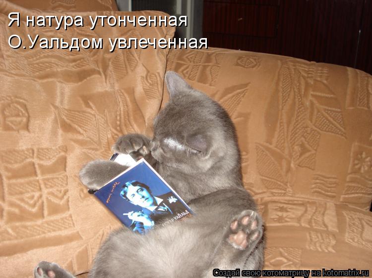 Котоматрица: Я натура утонченная О.Уальдом увлеченная