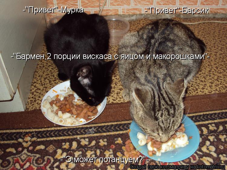 -"Привет"-Барсик -"Привет"-Мурка -"Бармен,2 порции вискаса с яицом и макорошками"- -"Э,может потанцу... Котоматрица: -"Привет"-Барсик -"Привет"-Мурка -"Бармен,2 порции вискаса с яицом и макорошками"- -"Э,может потанцуем?"-