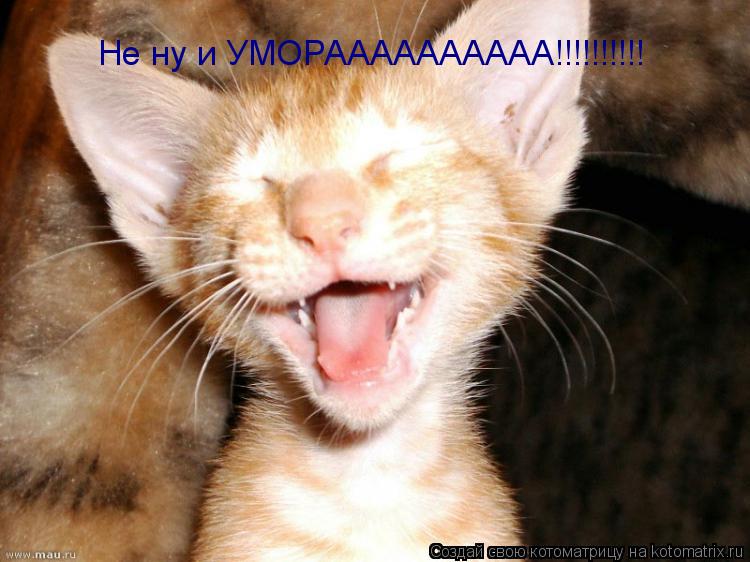 Не ну и УМОРАААААААААА!!!!!!!!!!... Котоматрица: Не ну и УМОРАААААААААА!!!!!!!!!!