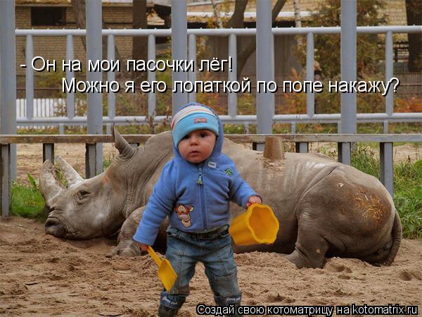 Котоматрица: - Он на мои пасочки лёг! Можно я его лопаткой по попе накажу?