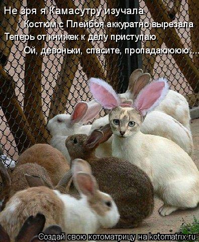 Не зря я Камасутру изучала Костюм с Плейбоя аккуратно вырезала Теперь от книжек к делу приступаю Ой, ... Котоматрица: Не зря я Камасутру изучала Костюм с Плейбоя аккуратно вырезала Теперь от книжек к делу приступаю Ой, девоньки, спасите, пропадаюююю....