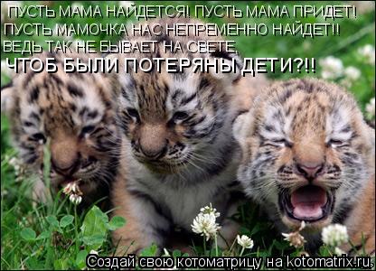 ПУСТЬ МАМА НАЙДЕТСЯ! ПУСТЬ МАМА ПРИДЕТ! ПУСТЬ МАМОЧКА НАС НЕПРЕМЕННО НАЙДЕТ!! ВЕДЬ ТАК НЕ БЫВАЕТ НА С... Котоматрица: ПУСТЬ МАМА НАЙДЕТСЯ! ПУСТЬ МАМА ПРИДЕТ! ПУСТЬ МАМОЧКА НАС НЕПРЕМЕННО НАЙДЕТ!! ВЕДЬ ТАК НЕ БЫВАЕТ НА СВЕТЕ, ЧТОБ БЫЛИ ПОТЕРЯНЫ ДЕТИ?!!