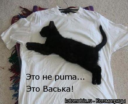 Это не puma... Это Васька!... Котоматрица: Это не puma... Это Васька!