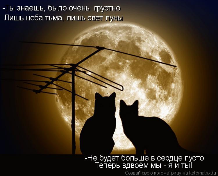 Лишь неба тьма, лишь свет луны Теперь вдвоём мы - я и ты! -Ты знаешь, было очень грустно -Не будет б... Котоматрица: Лишь неба тьма, лишь свет луны Теперь вдвоём мы - я и ты! -Ты знаешь, было очень грустно -Не будет больше в сердце пусто
