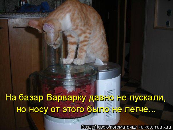На базар Варварку давно не пускали, но носу от этого было не легче...... Котоматрица: На базар Варварку давно не пускали, но носу от этого было не легче...