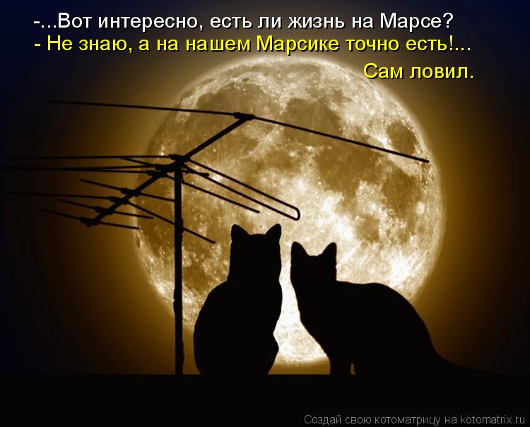 -...Вот интересно, есть ли жизнь на Марсе? - Не знаю, а на нашем Марсике точно есть!... Сам ловил.... Котоматрица: -...Вот интересно, есть ли жизнь на Марсе? - Не знаю, а на нашем Марсике точно есть!... Сам ловил.