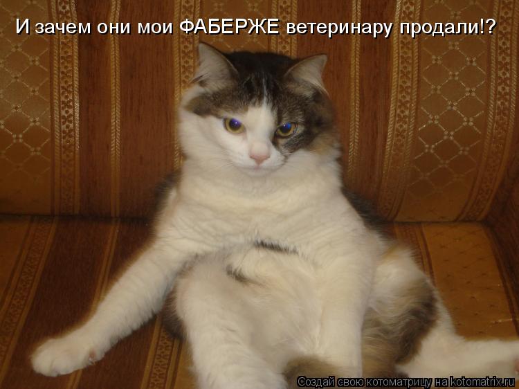 И зачем они мои ФАБЕРЖЕ ветеринару продали!?... Котоматрица: И зачем они мои ФАБЕРЖЕ ветеринару продали!?