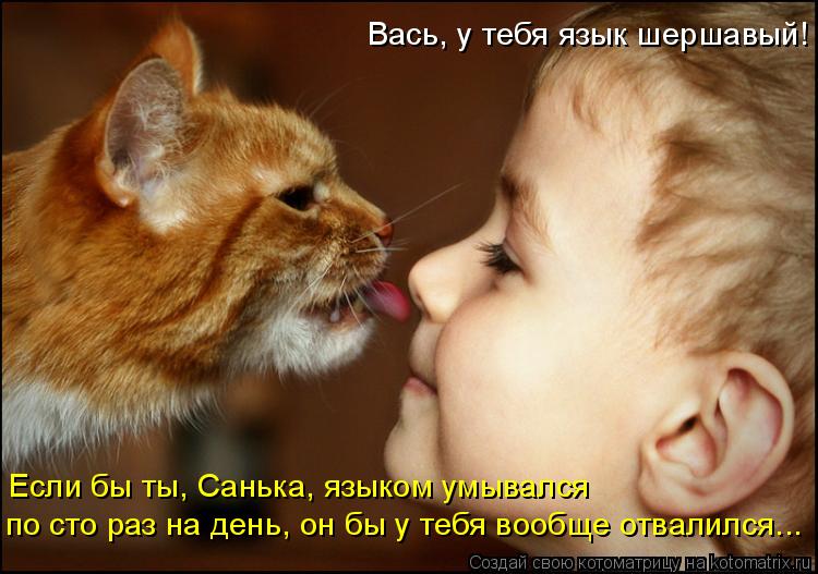 Вась, у тебя язык шершавый! Если бы ты, Санька, языком умывался по сто раз на день, он бы у тебя воо... Котоматрица: Вась, у тебя язык шершавый! Если бы ты, Санька, языком умывался по сто раз на день, он бы у тебя вообще отвалился...