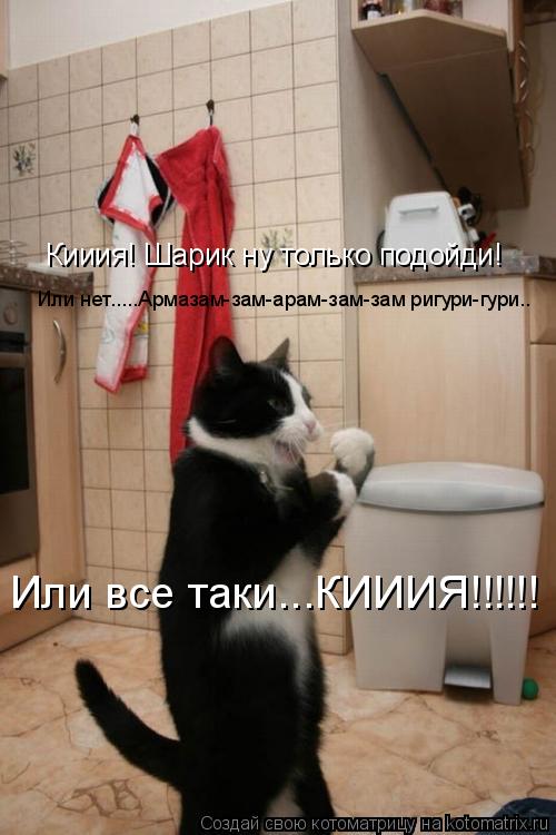 Кииия! Шарик ну только подойди! Или нет.....Армазам-зам-арам-зам-зам ригури-гури.. Или все таки...КИИ... Котоматрица: Кииия! Шарик ну только подойди! Или нет.....Армазам-зам-арам-зам-зам ригури-гури.. Или все таки...КИИИЯ!!!!!!