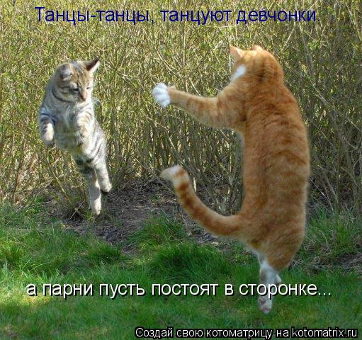 Танцы-танцы, танцуют девчонки, а парни пусть постоят в сторонке...... Котоматрица: Танцы-танцы, танцуют девчонки, а парни пусть постоят в сторонке...