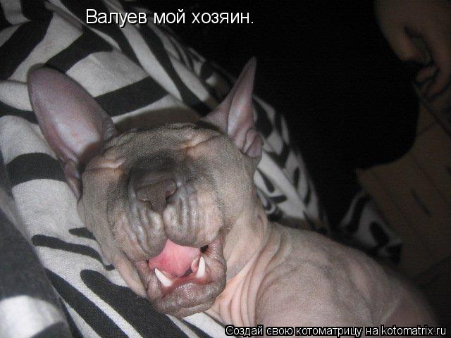 Валуев мой хозяин.... Котоматрица: Валуев мой хозяин.
